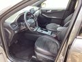 Daumennagel 14 - Ford Kuga 2.5 Duratec PHEV ST-LINE X
