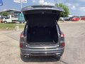 Daumennagel 16 - Ford Kuga 2.5 Duratec PHEV ST-LINE X
