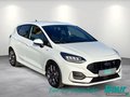 Daumennagel 2 - Ford Fiesta 1.0 EcoBoost Hybrid S&S ST-LINE X Winter