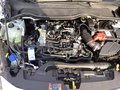 Daumennagel 15 - Ford Fiesta 1.0 EcoBoost Hybrid S&S ST-LINE X Winter