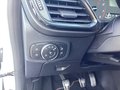Daumennagel 16 - Ford Fiesta 1.0 EcoBoost Hybrid S&S ST-LINE X Winter