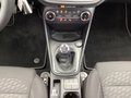 Daumennagel 9 - Ford Fiesta 1.0 EcoBoost S&S TITANIUM LED Winter-Pak