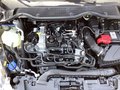 Daumennagel 16 - Ford Fiesta EcoBoost Hybrid Aut. TITANIUM AHK WINTER