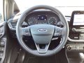Daumennagel 8 - Ford Fiesta EcoBoost Hybrid Aut. TITANIUM AHK WINTER