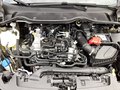 Daumennagel 15 - Ford Fiesta 1.0 EcoBoostHybrid S&S TITANIUM NAVI LED