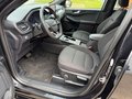 Daumennagel 11 - Ford Kuga 2.5 Duratec PHEV ST-LINE AHK NAVI Toter-Wi