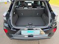Daumennagel 18 - Ford Puma 1.0 EcoBoost Hybrid Aut. ST-LINE X LED Nav