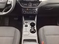 Daumennagel 11 - Ford Kuga 2.5 Duratec PHEV TITANIUM AHK schwenkbar