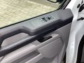 Daumennagel 13 - Ford e-Transit Custom 320 L1H1 LKW HA Trend (V710)