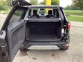 Daumennagel 18 - Ford ECOSPORT 1.0 EcoBoost TITANIUM Navi Tempomat