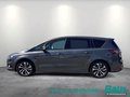 Daumennagel 3 - Ford S-Max 2.0 EcoBlue Allrad Aut. ST-Line Navi SHZ