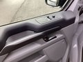 Daumennagel 16 - Ford Tourneo Custom Nugget 320L1 Aut. Titanium LED 0,0