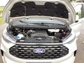 Daumennagel 17 - Ford Tourneo Custom Nugget 320L1 Aut. Titanium LED 0,0