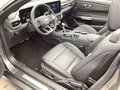 Daumennagel 14 - Ford Mustang Convertible 5.0Ti-VCT V8 Aut.GT Magner.