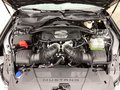 Daumennagel 17 - Ford Mustang Convertible 5.0Ti-VCT V8 Aut.GT Magner.