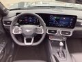 Daumennagel 7 - Ford Mustang Convertible 5.0Ti-VCT V8 Aut.GT Magner.