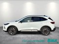 Daumennagel 3 - Ford Kuga 2.5 Duratec PHEV ACTIVE X LED Navi Head-Up