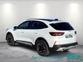 Daumennagel 4 - Ford Kuga 2.5 Duratec PHEV ACTIVE X LED Navi Head-Up