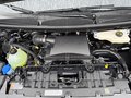 Daumennagel 16 - Ford Tourneo Custom 320L1H1 VA Autm. Active B&O Navi