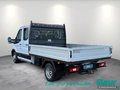 Daumennagel 4 - Ford Transit Pritsche 350 L3 HA Trend Zwillingsber.