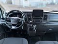 Daumennagel 8 - Ford Transit Pritsche 350 L3 HA Trend Zwillingsber.