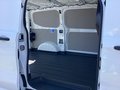 Daumennagel 5 - Ford Transit Custom 320 L1H1 LKW VA PHEV Trend LED
