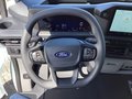 Daumennagel 8 - Ford Transit Custom 320 L1H1 LKW VA PHEV Trend LED
