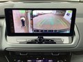 Daumennagel 12 - Nissan Qashqai 1.5 VC-T e-Power Tekna LED NAVI KAMERA
