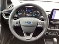 Daumennagel 7 - Ford Fiesta 1.0 EcoBoost Aut. TITANIUM X LED Winter