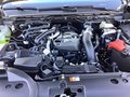 Daumennagel 15 - Ford Ranger 2,0l EcoBlue DoKa Autm. Wildtrak LED AHK