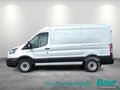 Daumennagel 3 - Ford Transit 310 L2H2 Lkw VA Basis Seitenw.verkl.ho.