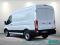 Daumennagel 4 - Ford Transit 310 L2H2 Lkw VA Basis Seitenw.verkl.ho.