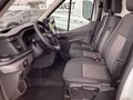 Daumennagel 13 - Ford Transit 310 L2H2 Lkw VA Basis Seitenw.verkl.ho.