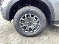 Daumennagel 5 - Ford Ranger 2,0 l EcoBlue DoKa. Autm. Wildtrak AHK