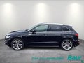 Daumennagel 3 - Audi Q5 3.0 TDI (clean diesel) quattro S tronic Navi