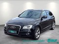 Daumennagel 1 - Audi Q5 3.0 TDI (clean diesel) quattro S tronic Navi