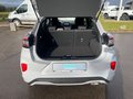 Daumennagel 18 - Ford Puma 1.0 EcoBoost Hybrid ST-LINE AHK LED Navi