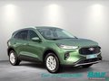 Daumennagel 2 - Ford Kuga 2.5 Duratec FHEV TITANIUM Navi Kamera LED