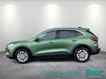 Daumennagel 3 - Ford Kuga 2.5 Duratec FHEV TITANIUM Navi Kamera LED