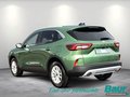 Daumennagel 4 - Ford Kuga 2.5 Duratec FHEV TITANIUM Navi Kamera LED