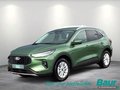 Daumennagel 1 - Ford Kuga 2.5 Duratec FHEV TITANIUM Navi Kamera LED