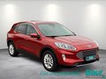 Daumennagel 2 - Ford Kuga 2.5 Duratec PHEV TITANIUM AHK el. Heckkl.