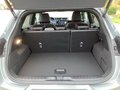 Daumennagel 19 - Ford Puma 1.0 EcoBoost Hybrid Aut. ST-LINE X Matrix