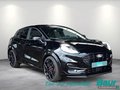 Daumennagel 2 - Ford Puma 1.0 EcoBoost Hybrid Aut. ST Panoramadach