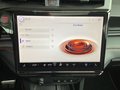 Daumennagel 11 - Ford Puma 1.0 EcoBoost Hybrid Aut. ST Panoramadach
