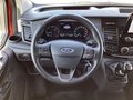 Daumennagel 7 - Ford Transit Custom 340 L1H1 VA MH Trail AHK Navi