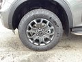 Daumennagel 6 - Ford Ranger 2,0 l EcoBlue DoKa. Autm. Wildtrak AHK