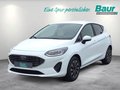 Daumennagel 1 - Ford Fiesta 1.0 EcoBoost S&S TITANIUM Winter-Paket