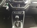 Daumennagel 9 - Ford Fiesta 1.0 EcoBoost S&S TITANIUM Winter-Paket