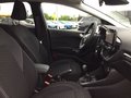 Daumennagel 12 - Ford Fiesta 1.0 EcoBoost S&S TITANIUM Winter-Paket